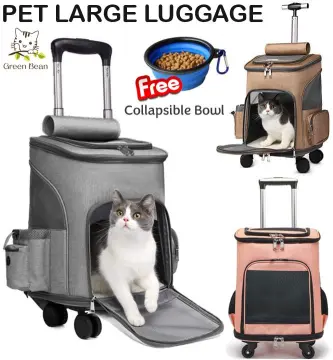 Cat on sale luggage bag