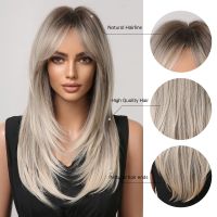 Long Straight Gray Ash Blonde Synthetic Hair Wigs with Long Bangs Cosplay Natural Layered Wig for Women Afro Heat Resistant