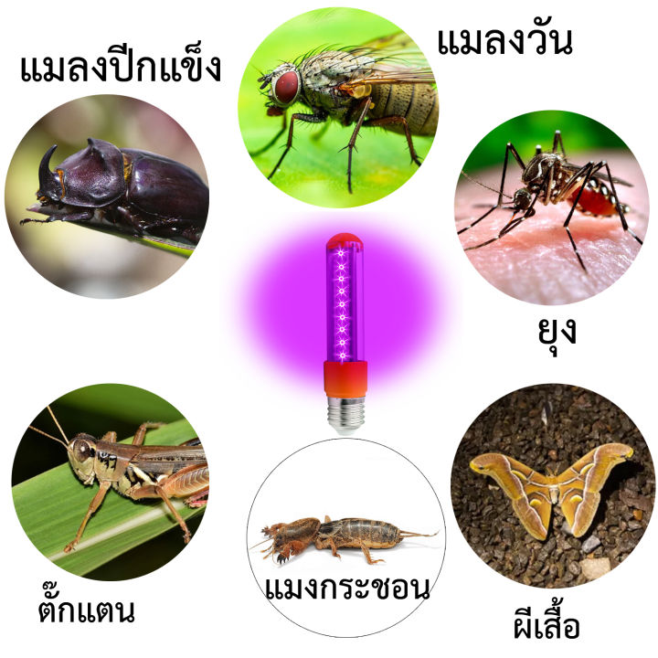 ดีที่สุดแห่งปี-การประหยัดพลังงานหลอดดักแมลง-black-light-24w-แมงดาหลอดไฟดักแมลงแสงสีม่วงบาร์แสงฟลูออเรสเซนต์-black-light-ดักแมลง-ตัวกรองผีเสื้อแมงดา