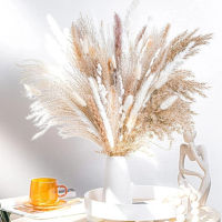 【cw】pcs Boho Pampas Grass Bouquet Home Decor Floral Dried Flowers Wedding Arrangements Natural Reed Bunny Tails ！