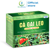 Bổ gan thảo dược Cà Gai Leo Gold Tex giúp mát gan, giải độc gan