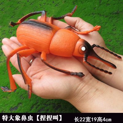 Extra large soft plastic animal model dragonfly grasshopper golden cicada sound simulation insects bees ladybug spider toy for children