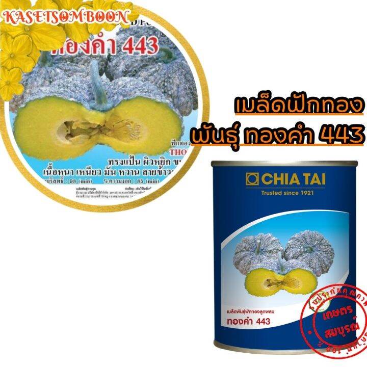 ฟักทองทองคำ443-f1-เมล็ดพันธุ์-ลายข้าวตอก-100-ก-ตราเจียไต๋