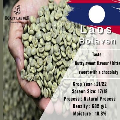 สารกาแฟ ลาว โบลาเวน AA size 16 - 18 Laos Bolaven Washed Process