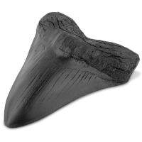 ฟันปลาฉลามเรซิ่นทำความสะอาดง่ายเหมือนจริงในรูปทรงพิเศษฟอสซิล Megalodon ฟันสำหรับการเรียนรู้ของขวัญตกแต่งฮาโลวีนสีดำ