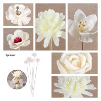 【YP】 5pcs Shaped Reed Diffuser Stick Extra Thick Rattan Refill Sticks