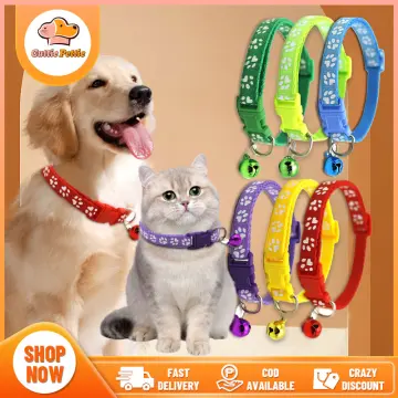 Buy dog outlet accessories