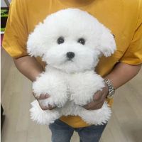 ตุ๊กตาของเล่นน่ารักสุนัขพันธ์ Bichon น่ารักจำลองได้สมจริงสุนัขหยิกของเล่นตุ๊กตาจริง Kado Pacar วันเกิดเด็กผู้หญิง