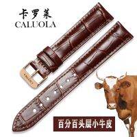 CALUOLA Carolina leather black brown belt strap home furnishings watch accessories comfortable soft general man