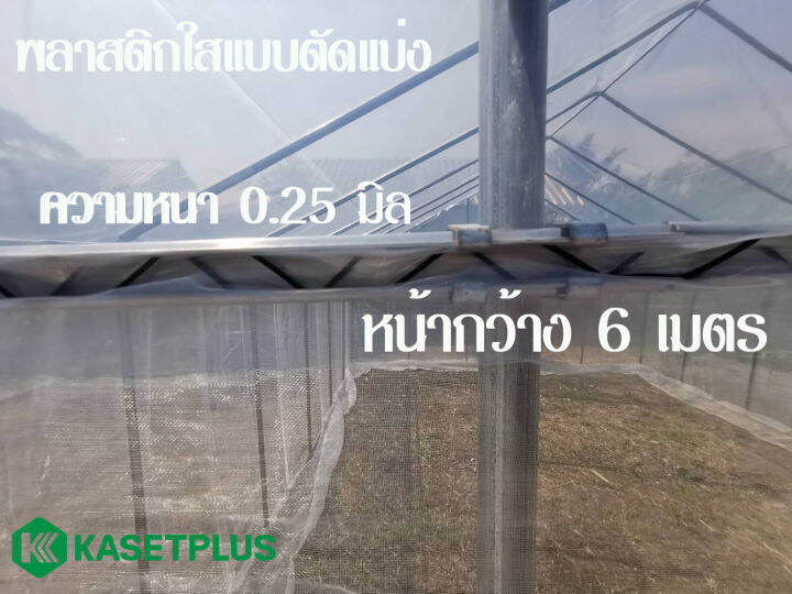 พลาสติกใส-พลาสติกโรงเรือน-พลาสติกคลุมโรงเรือน-greenhouse-ความหนา-0-25-มิล-หน้ากว้าง-6-เมตร-ยาว-1-เมตร