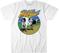 Liquid Blue Pink Floyd Distant Bells Atom Heart Ss Tee