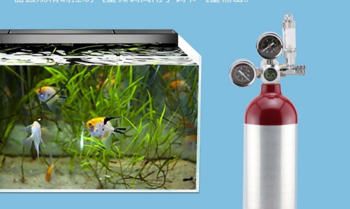 ถังสลิม0-22l-อุปกรณ์ตู้พรรณไม้น้ำ-ถังออกซิเจนตู้ปลา-co2