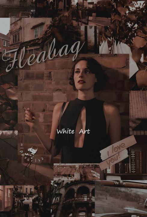 fleabag-รายการทีวีโปสเตอร์วินเทจ-ภาพวาดสีน้ำมันผ้าใบ-hd-สำหรับตกแต่งบ้านสมัยใหม่