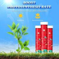 Home Gardening Universal Slow-Release Tablet Organic Fertilizer