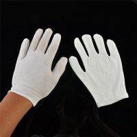 5 Pairs White Cotton s Coin Jewelry Inspection s