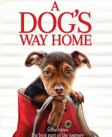 Dogs Way Home, A เพื่อนรักผจญภัยสี่ร้อยไมล์ (DVD) ดีวีดี (B1001)