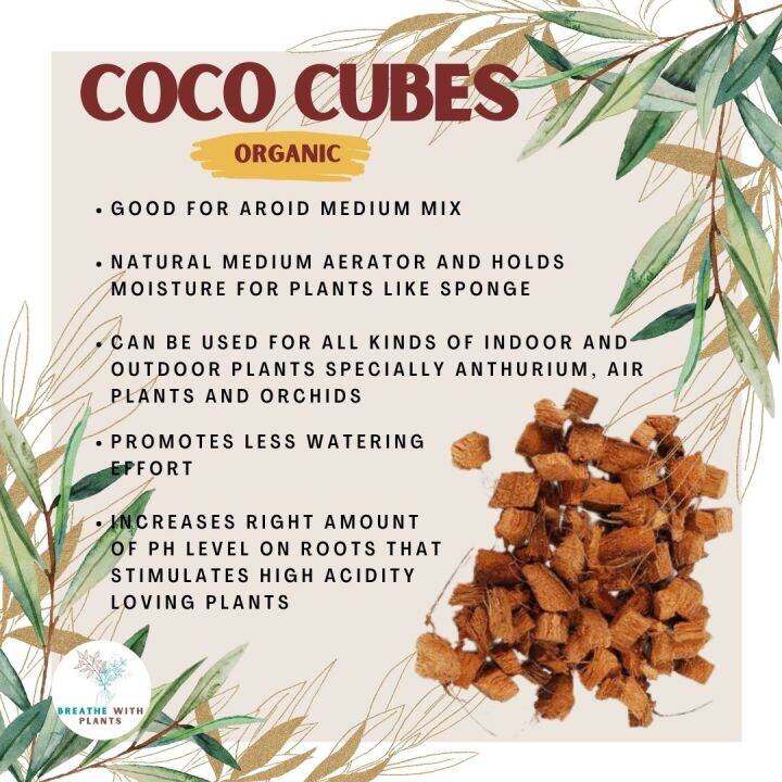 Coco Cubes for Plants Lazada PH