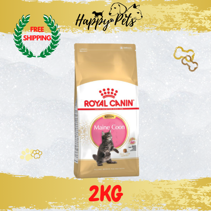 Royal Canin Maine Coon Kitten (2KG) | Lazada