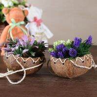 Summer 12-15cm Natural Coconut Bowl Wooden Tableware Spoon Set Coco Kitchen Item Rice Ramen Salad Home Decorative Dinnerware