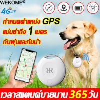 GPSวางตำแหน่งใน 1 วินาที GPSสัตว์เลี้ยง กันน้ำและทนทาน 4GWiFi GPS สำหรับสัตว์เลี้ยง gpsแมว จีพีเอสแมว dog GPS cat gps