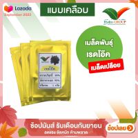 เมล็ดเรดโอ๊ค ชนิดเปลือย By Hydroponicgroup