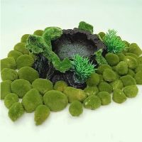 hot【cw】 10pc 2-3cm/3-4cm Simulated Aquarium Artificial Ornament