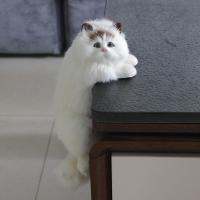 Kawaii Realistic Fur Cat Simulation ตุ๊กตาแมวตุ๊กตาของเล่นสัตว์ตุ๊กตาโมเดลตกแต่งบ้านแขวนแมวเด็กของขวัญของเล่นนุ่ม