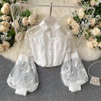 Lady Retro Mesh Lace Tops Women 39;s Stand Collar 3D Embroidered Long Lantern Sleeve Court Slim Shirt Elegant Blouse P298