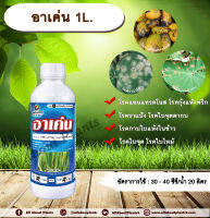 อาเค่น 1L. คาร์เบนดาซิม สารป้องกันและกำจัดเชื้อรา แบบดูดซึม โรคราแป้ง โรคแอนแทรกโนส โรคกุ้งแห้งพริก โรคใบไหม้ โรคใบจุด โรคใบจุดตากบ