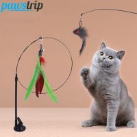 Interactive Cat Toy Funny Cat Stick Toy Simulation Bird Mouse Feather Toys for Cat Kitten Playing Teaser Wand Toy Cat Supplies