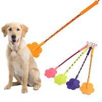 Rubber Training Dog Stick Pat Small Whip Guide Device Trainer Stop Bark Supplies