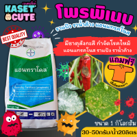 ? แถมฟรีเสื้อ 1 ตัว แอนทราโคล (โพรพิเนบ) ป้องกันเชื้อราใบจุด ราน้ำค้าง แอนแทรคโนส (1กิโลกรัม)