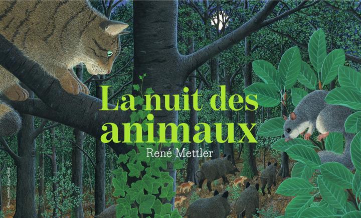 La Nuit des animaux - De 4 à 10 ans (French)