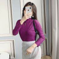 2023 Hot Solid color half turtleneck Miyake pleated bottoming shirt slightly see-through top feminine and feminine long-sleeved T-shirt western style spring and autumn