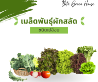 เมล็ดพันธุ์ผักสลัด 1 ซอง 200-300 เมล็ด