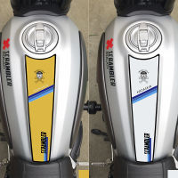 3D Scrambler 800 1100สติกเกอร์ถังน้ำมันเชื้อเพลิงรถจักรยานยนต์สติกเกอร์ถัง Pad Decals สำหรับ DUCATI Scrambler 800 1100 Sport Pro 2020