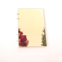 A4 Acrylic Mirror Coverl Note Book Planner Organizer Binder Sketchbook Journal Accessories Diary School Office Supplie Note Books Pads