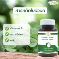 สารสกัดใบบัวบก ซิงค์ ลดสิว ลดมัน วิตามินอี สารสสกัดจากเมล็ดองุ่น Gotu Kola Grape Seed Zinc Vitamins