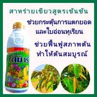 NEW ชุด กระตุ้นยอดใบอ่อนทุเรียน อาหารเสริมต้นทุเรียน ฮอร์โมนต้นทุเรียน สาหร่ายเขียวเข้มข้น ไดมาร์ 1 ลิตร กระตุ้นแตกยอดใบอ่อน