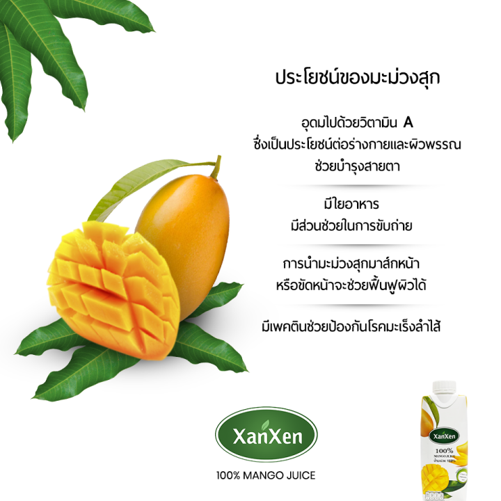 xanxen-น้ำมะม่วง-100-2-ลัง-แถมฟรี-mini-set-4-กล่อง-1-set