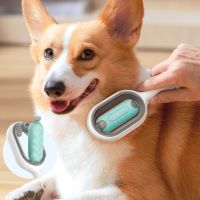 【FCL】◑♣✲ 2 In 1 Dog Hair Remover Update and Massage Grooming Comb Accessories