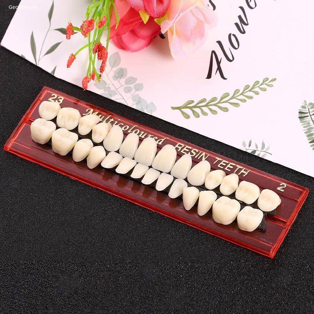 Be Acrylic Resin Denture Teeth Upper Lower Shade Dentures Dental