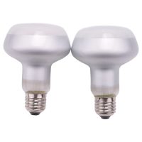 2 Pack 75W Reptile Light UVA Heat Lamp Bulb Bearded Dragon Accessories for Reptiles 220V