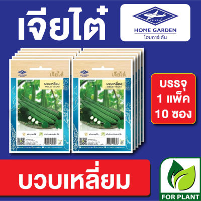 ผักซอง เจียไต๋ CT15 เมล็ดพันธุ์ พันธุ์ผัก บวบเหลี่ยม บรรจุแพ็คล่ะ 10 ซอง ราคา 70 บาท