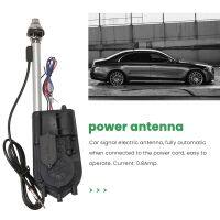 Universal Electric Power Automatic Antenna Car SUV AM &amp; FM Radio Mast Aerial 12V