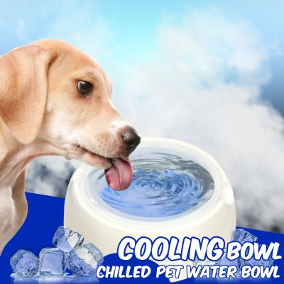 JA LENG Cooling bowl ชามเจลโซลูชั่นสัตว์เลี้ยง ถ้วยใส่น้ำสัตร์เลี้ยง ชามน้ำเจลเย็นดับร้อนสัตว์เลี้ยง