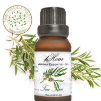 hHom น้ำมันหอมระเหย กลิ่น ที กรี   Aroma Essential Oil (Tea tree) 15ml.