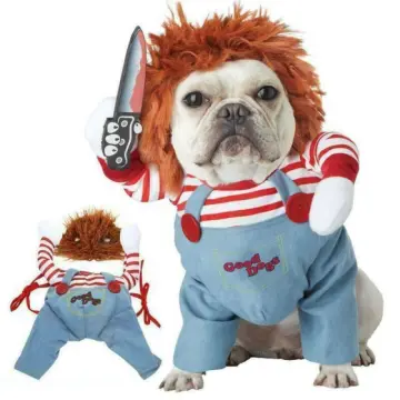 Dog Costumes and Pet Halloween Costumes for 2023