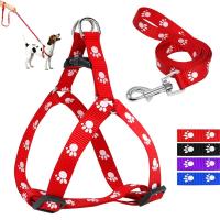 Paw Print Small Dog Harness and Leash Soft Nylon Pet Walking Harness Vest For Chihuahua Yorkshire Terier Schnauzer Collars