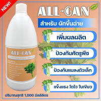 ปุ๋ยน้ำขึ้นฉ่ายป้องกันโรคใบจุดต้านทานโรคช่วยไม่ให้โคนเน่าALL GAN1000mlต้นเหลืองก้านใบแตกและบำรุงสูตรเข้มข้นพิเศษใช้ได้นานจากธรรมชาติ100%